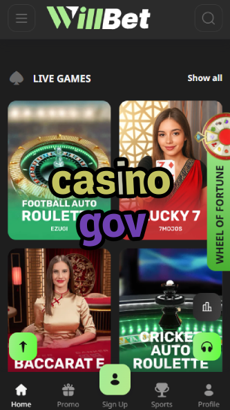 Casino GOV - Government Approved Safe Gambling-www.bdqngd.com